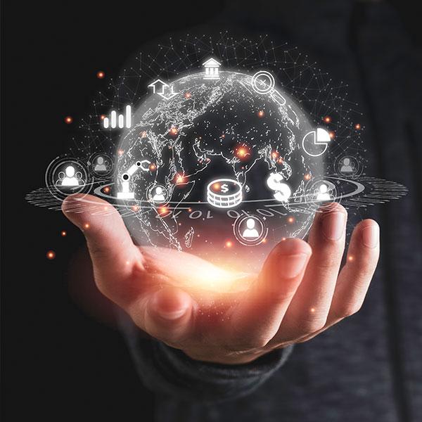 support and advisory services